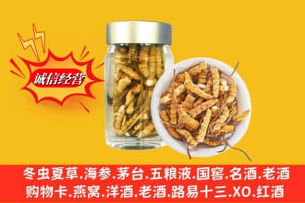 伊犁州巩留县回收散虫草