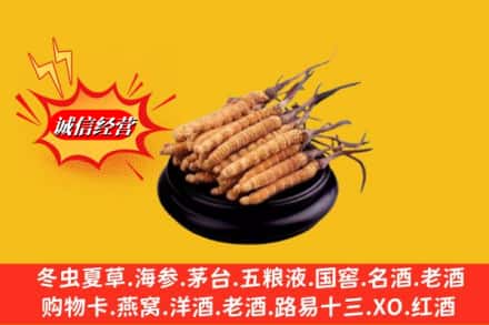 伊犁州巩留县名酒回收冬虫夏草.jpg